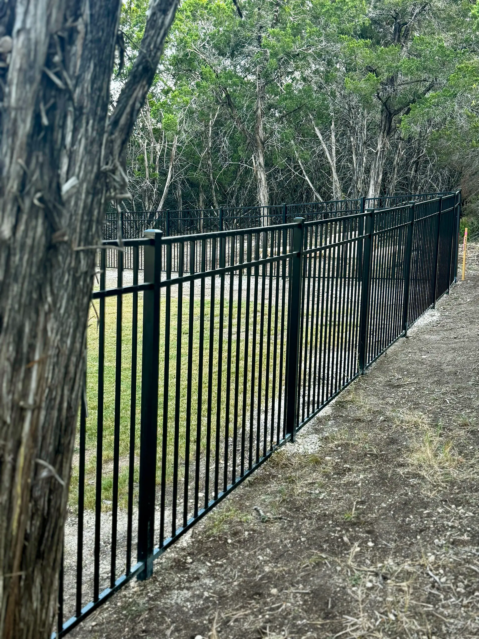 Black aluminum fence along a wooded Austin property